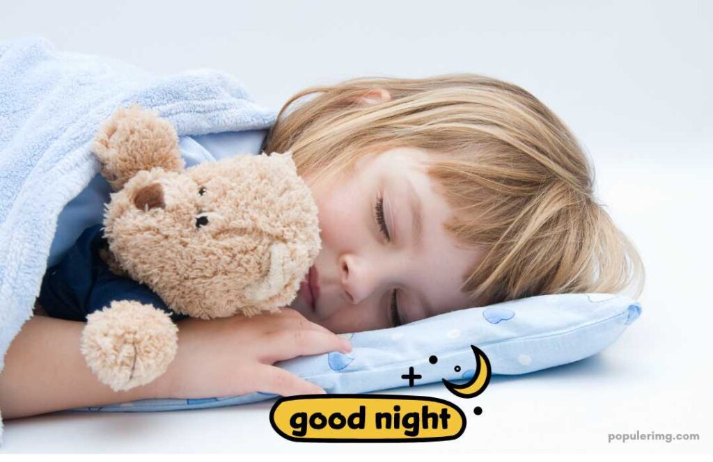Cute Good Night Image Free Download