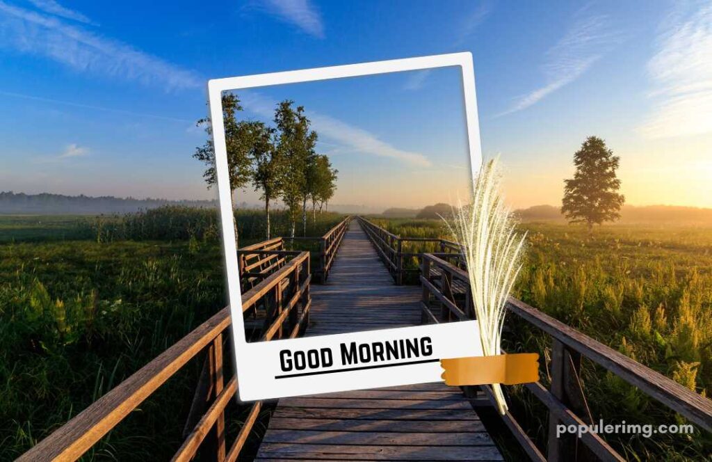 Beautiful green farm with a beautiful good morning  image