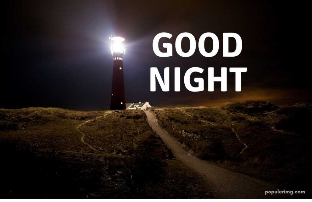 Beautiful  Good Night Image Free Download