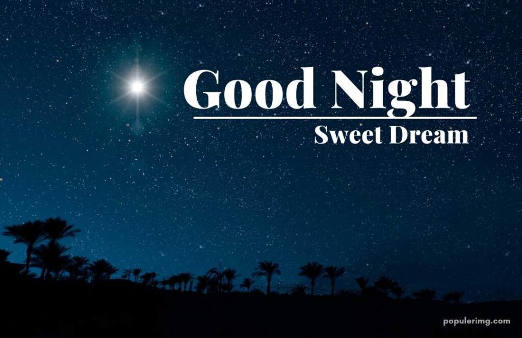 Beautiful  Good Night Image Free Download