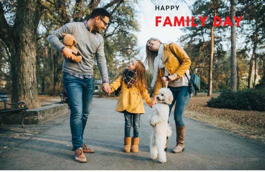 Mother And Father Laughing While Holding Their Daughter'S Hand