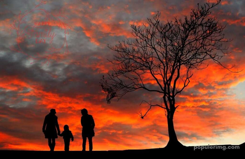 Mother, Father And A Small Child Standing By A Dry Tree