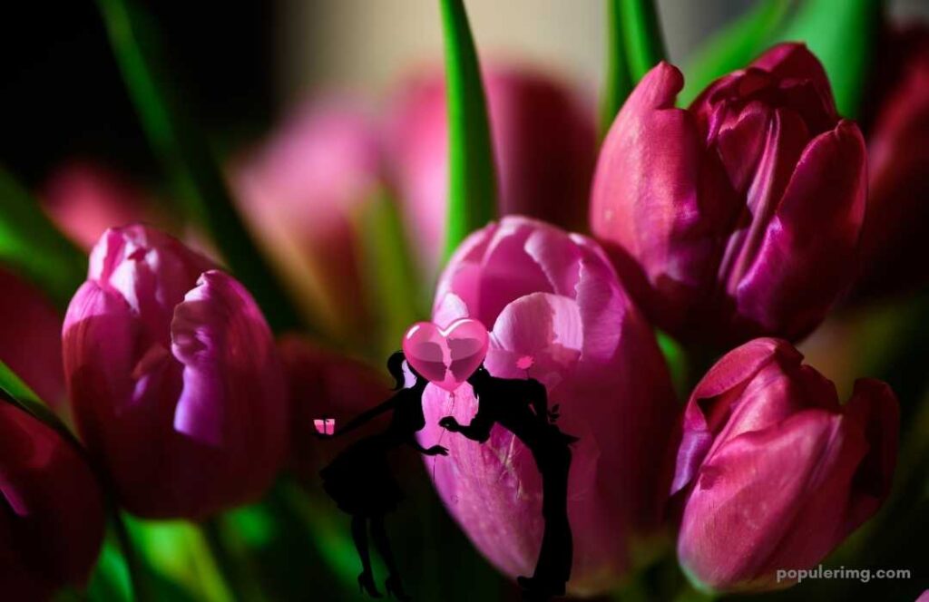 Boy And Girl Kissing Each Other And Cute Pink Flowers Are Visible