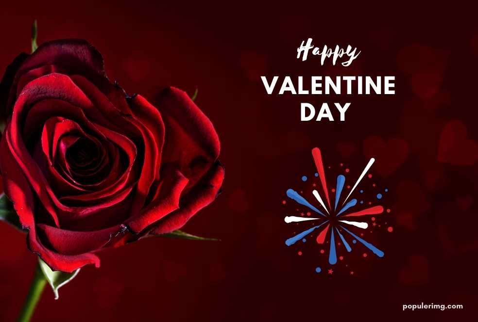 Happy Valentine'S Day With A Red Rose And Fireworks.	