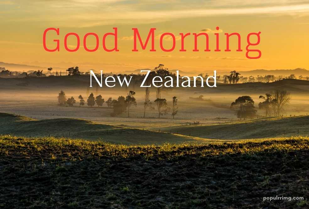 Good Morning Images For New Zealand image