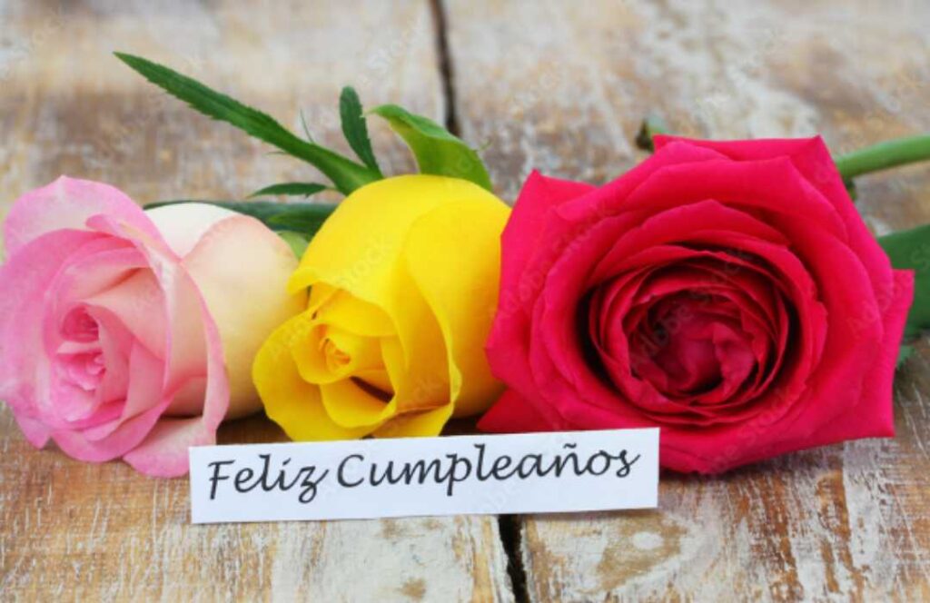Three Colorful Roses With A Card That Says Feliz Cumpleaos	