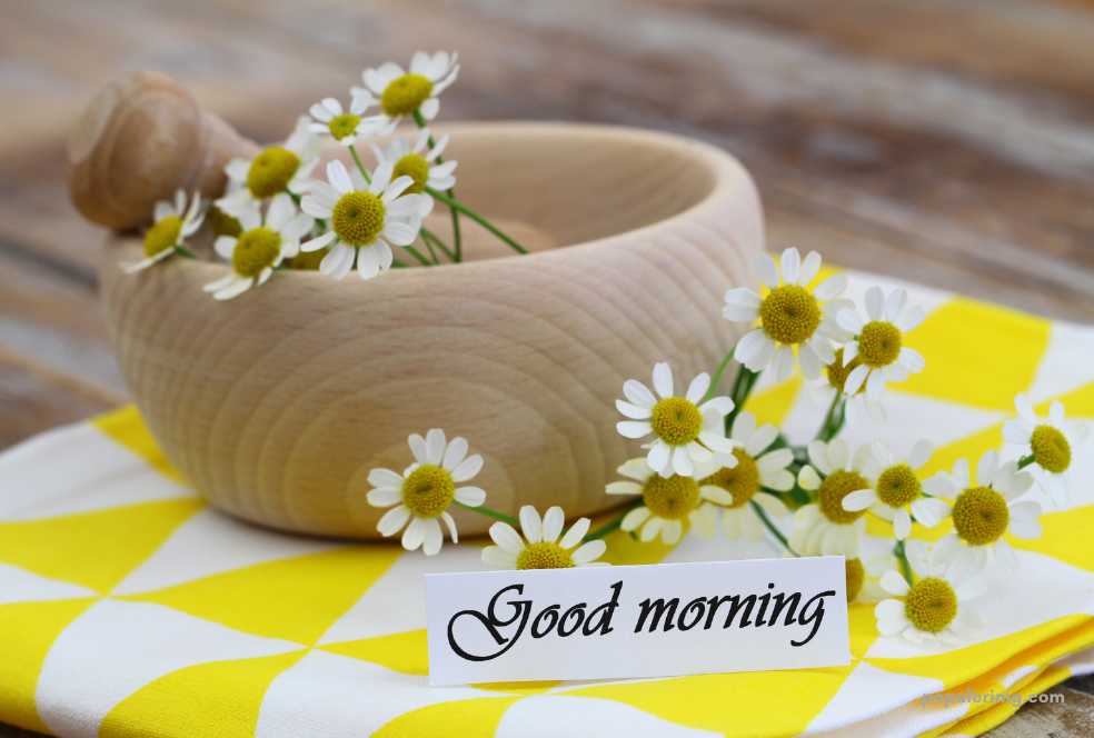 a wooden bowl with daisies and a sign that says good morning.	