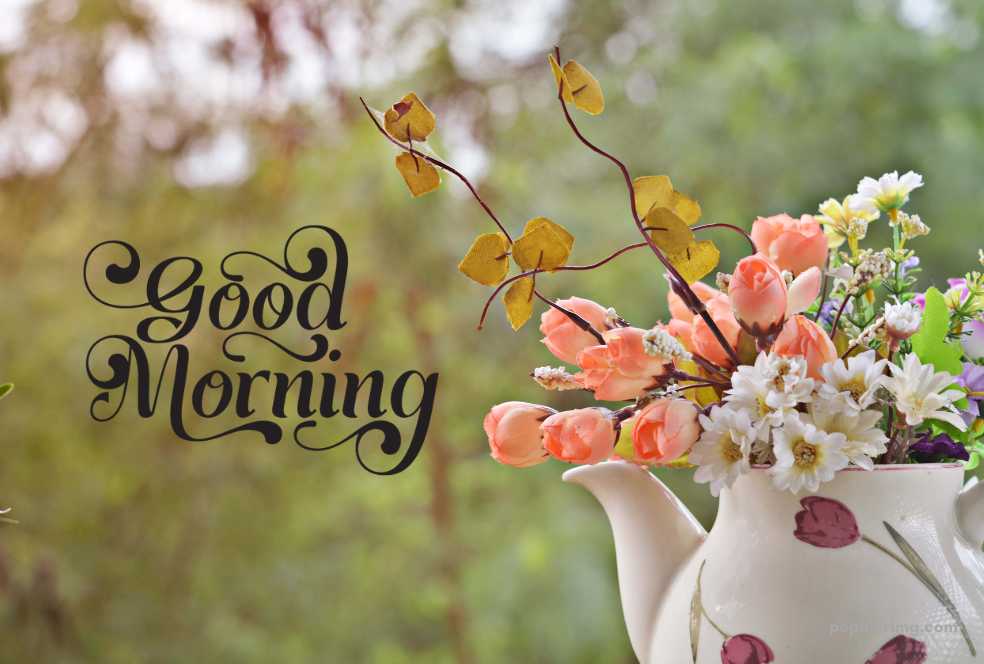 flowers in a teapot with the words good morning.	