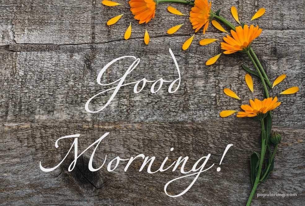 a good morning card with orange flowers on a wooden background.	