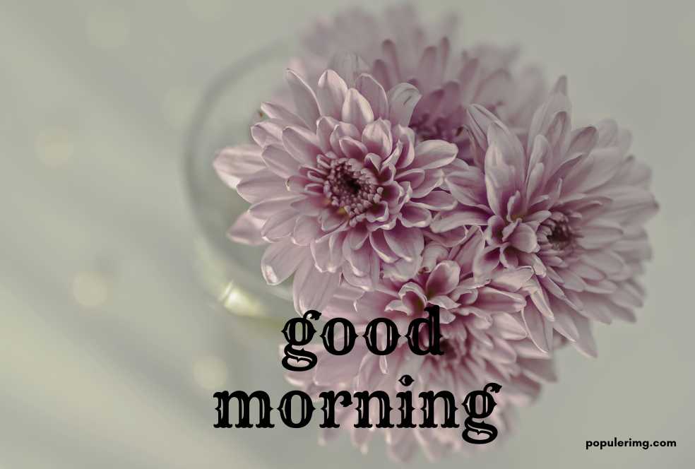a vase of flowers with the words good morning.	