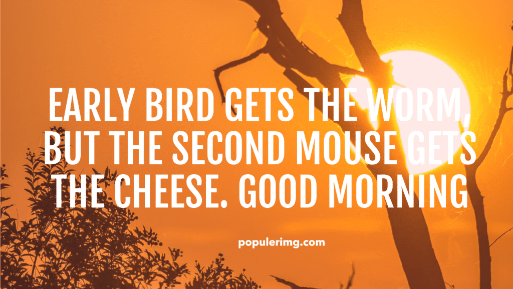 Early Bird Gets The Worm, But The Second Mouse Gets The Cheese. Good Morning! - Funny Black Good Morning Quotes