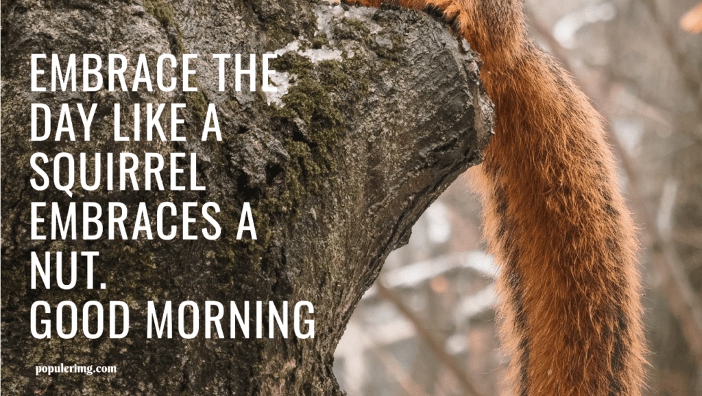 Embrace The Day Like A Squirrel Embraces A Nut. Good Morning! - Funny Black Good Morning Quotes