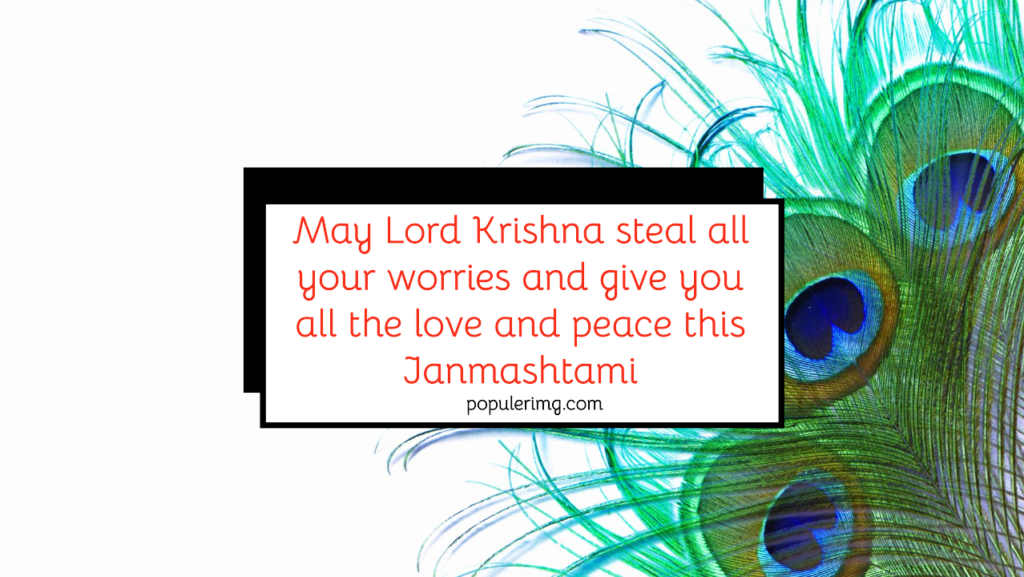 May Lord Krishna Steal All Your Worries And Give You All The Love And Peace This Janmashtami. - Happy Krishna Janmashtami