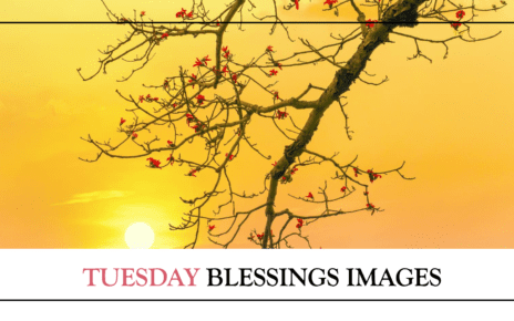 Tuesday Blessings Images
