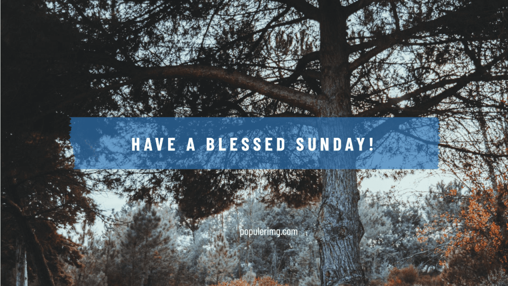 Start This Blessed Sunday With A Grateful Heart And Watch The Blessings Unfold. - Blessed Sunday Images