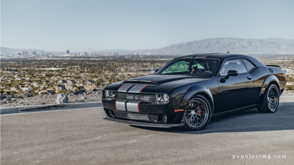 Mustang: Where Adrenaline Meets The Road, And Legends Are Born - 2024 Ford Mustang Images