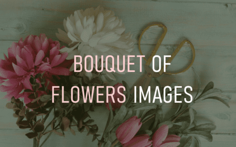 Bouquet Of Flowers Images