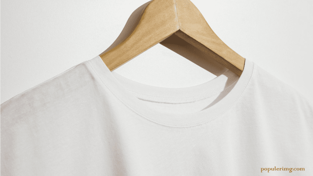 Elevate Your Style Canvas: Explore The Versatility Of Blank T-Shirts - Blank Tshirt Image