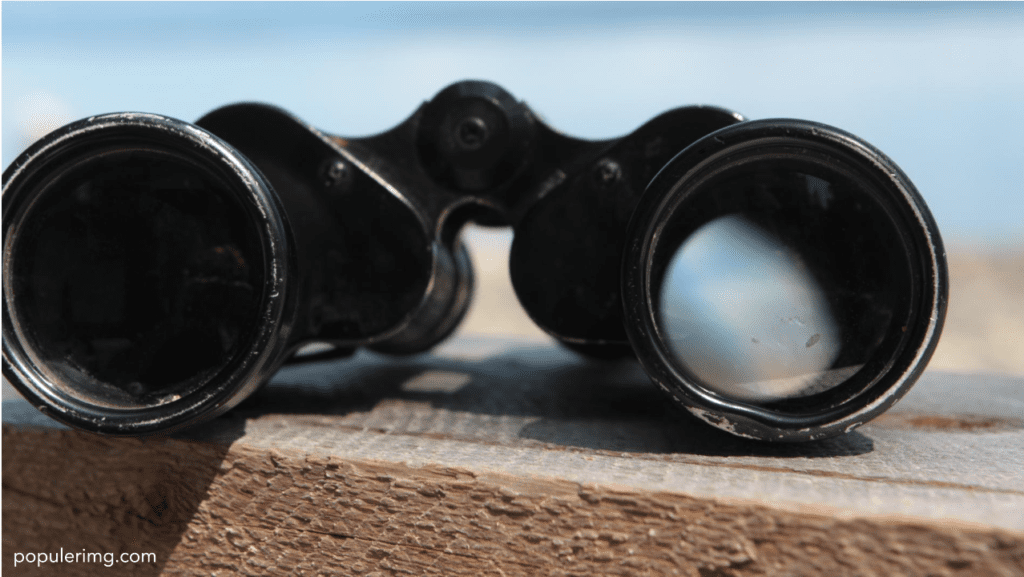 Observation Redefined: A Steady Perspective Through Canon Image Stabilized Binoculars