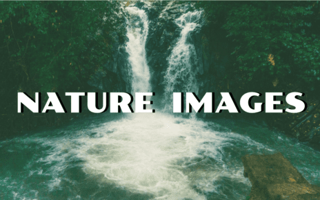 Nature Images