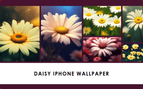 Daisy Iphone Wallpaper