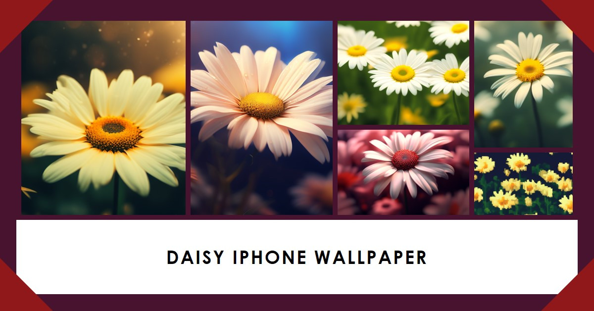Daisy Iphone Wallpaper