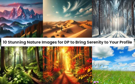 Nature Images For Dp